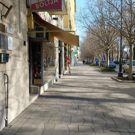 Lejlighed Rakoczi In Downtown *