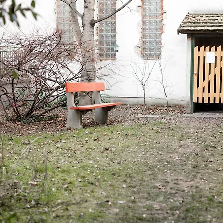 Rakoczi In Downtown *